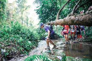 BIB: 
                            <button type="button" onclick="openModal(25460633)" class="btn btn-primary btn-sm float-right btn-popup" data-toggle="modal" data-target=".modal-high-quality">
                        <i class="fas fa-shopping-cart"></i> Add to Cart
                    </button>
                                            <button type="button" onclick="isThisMe(25460633, true)" class="btn btn-success btn-sm float-right btn-popup btn-isme hidden" data-toggle="tooltip" data-placement="bottom" title="นี่คือรูปของคุณใช่ไหม คลิกที่นี่เพื่อเอาเข้าอัลบั้ม">
                        <i class="fas fa-plus"></i> Add to album
                    </button>
                    <button type="button" onclick="isThisMe(25460633, false)" class="btn btn-warning btn-sm float-right btn-popup btn-isnotme hidden">
                        <i class="fas fa-ban"></i> Remove from album
                    </button>